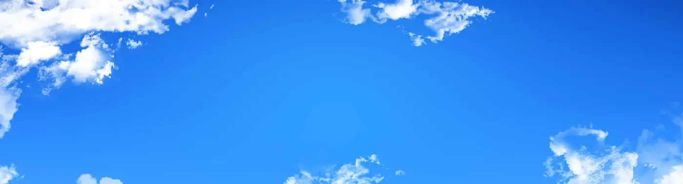 &nbsp;